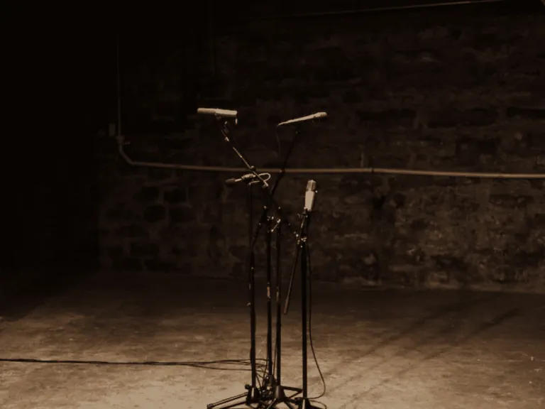 Comprendre les Directivités des Microphones